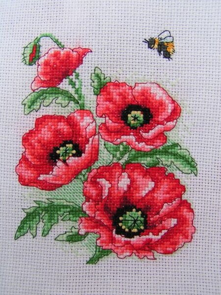 маки Анхор (подбор)