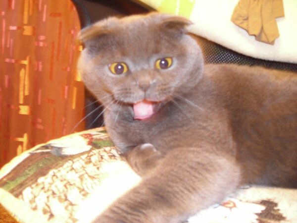 Изображение 004