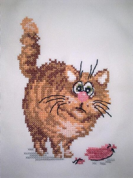 кот с сосиской