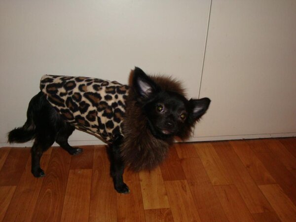 Пальто для моей Варюши