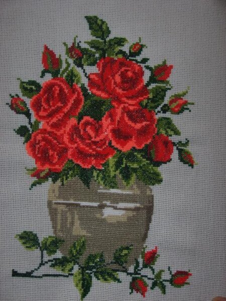 IMG 4208     Розы (подарены как оберег подруге Оле)