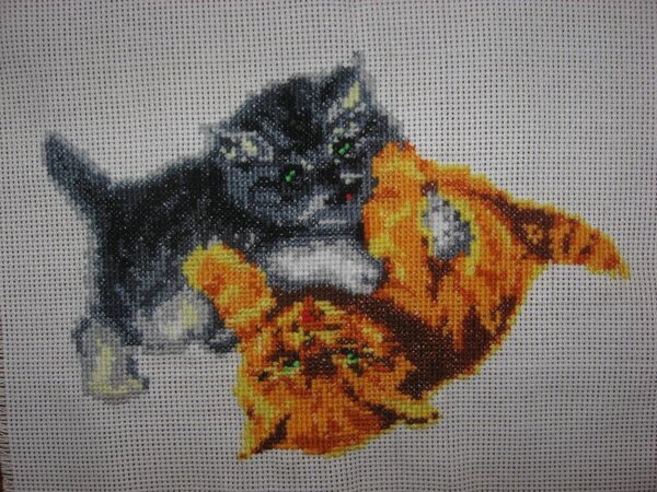 IMG 4212   Котята (подарены Е.М)