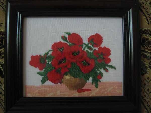 IMG 4728 Маки (подарены Леси)