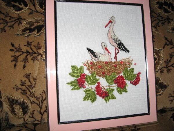 IMG 5005 Аисты (моей внучке Леночке)