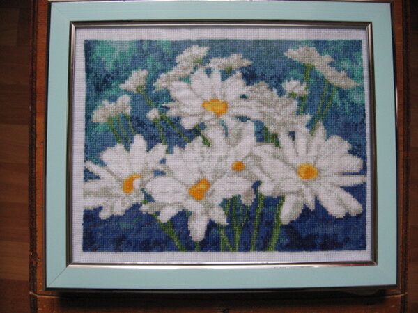 IMG 5486    Ромашки