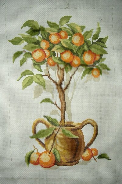 мое апельсиновое дерево