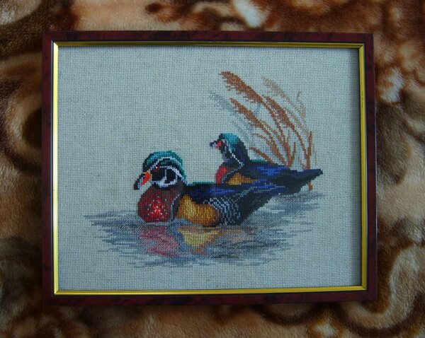 мандаринки  люблю уточек...