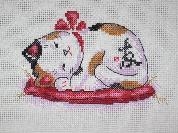 Киска счастье в доме