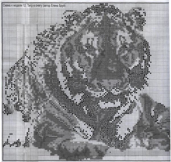 ТИГР в СНЕГУ 00021111111