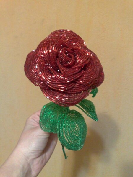 роза из рубки