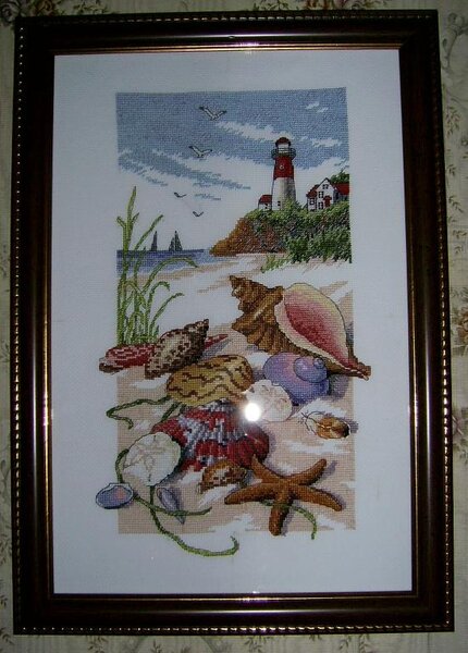 Моркой картинка