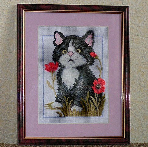 Чёрный кот 
РТО