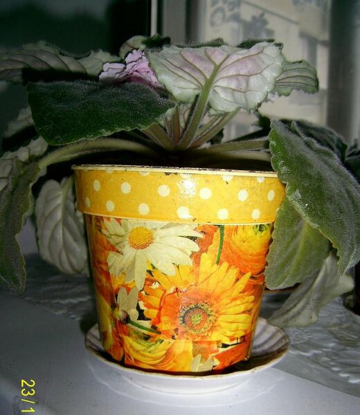 Горшочек для вазона 1