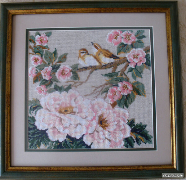 птицы   Риолис