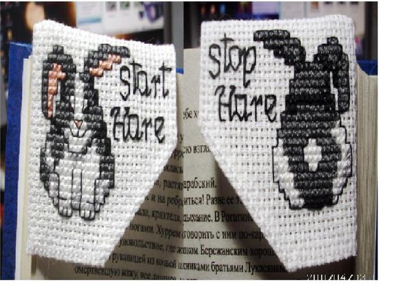 Стоп заяц -  старт заяц