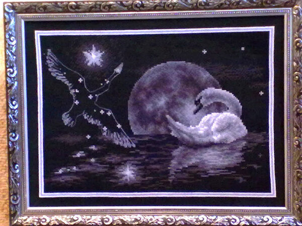 Белый лебедь