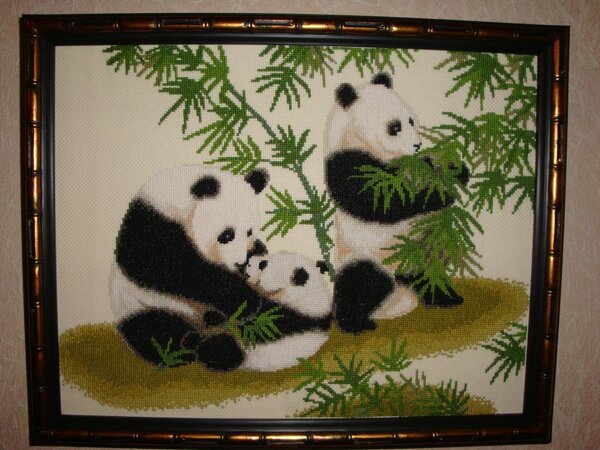 Панды. Конкурс Зверьё моё