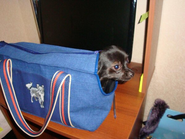 Сумка для Варюши