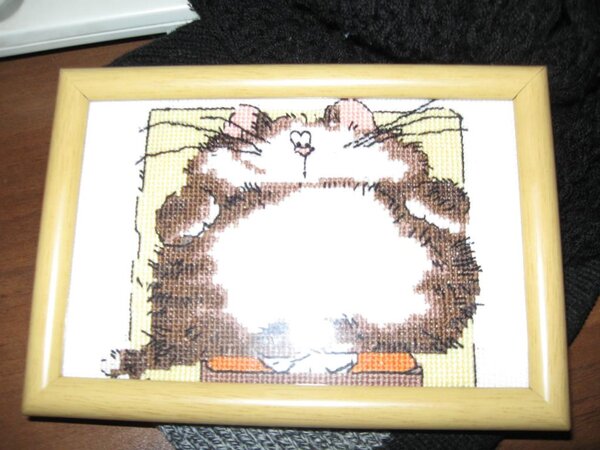 киса в подарок друзьям в Новый год