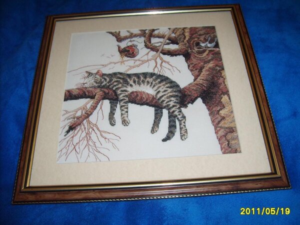 Dimensions Слишком устал 3