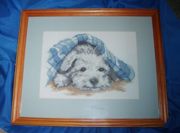 Vervaco Спрятался3