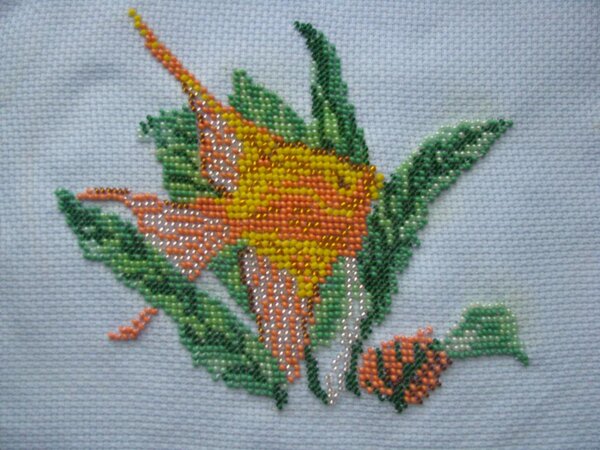 Золотая рыбка