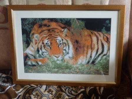 Мой тигрик!!!