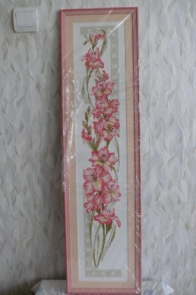 Риолис Гладиолусы