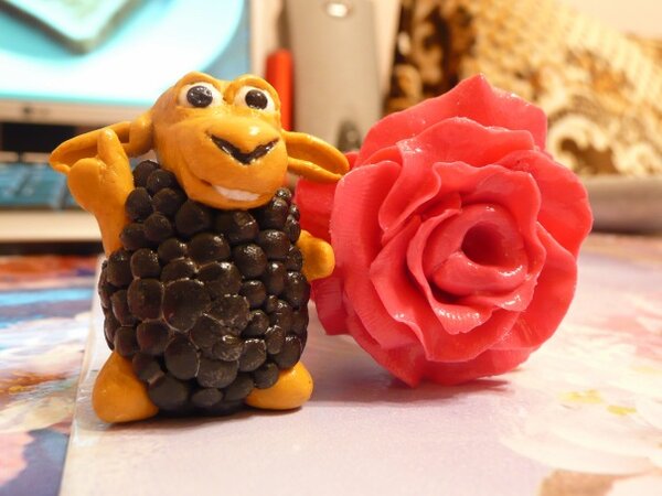 бараш и роза