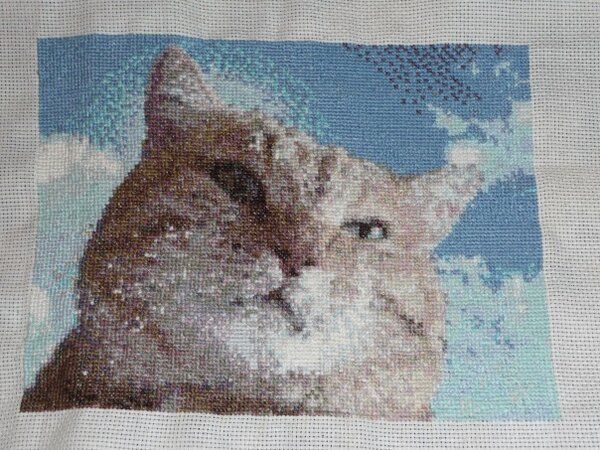 "Котик" первая работа по фото.