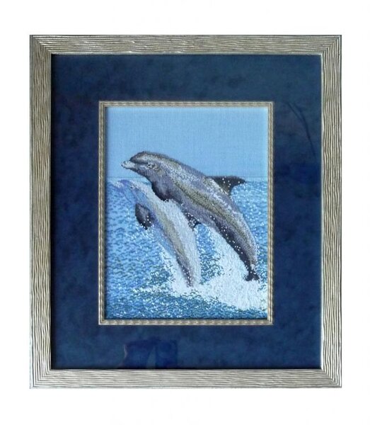 дельфины в раме