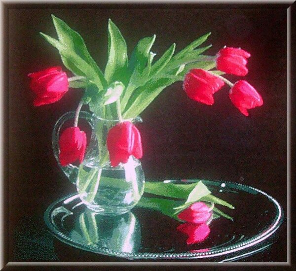 семь нот красоты