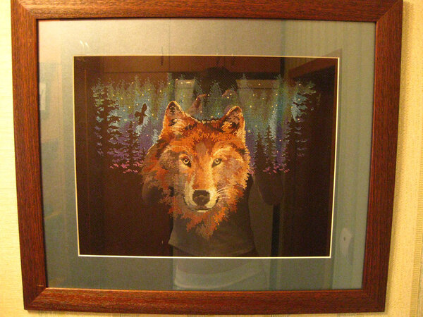 Волк в ночи