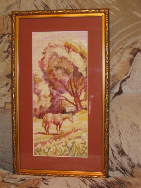 Розовый полдень