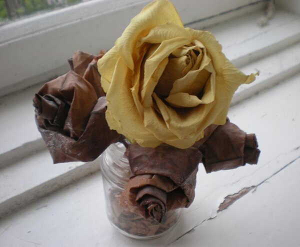 розы из клена