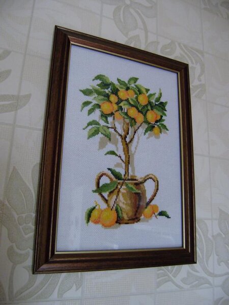 Апельсиновое деревце