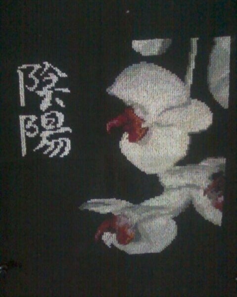 восточные мотивы. Орхидеи