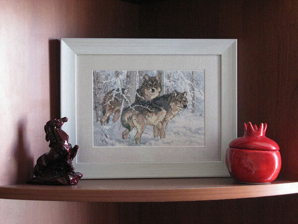 "Зимние волки" (ДМС) 2010 г.