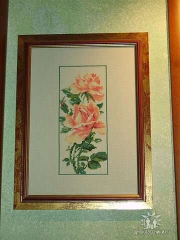 роза для Оли