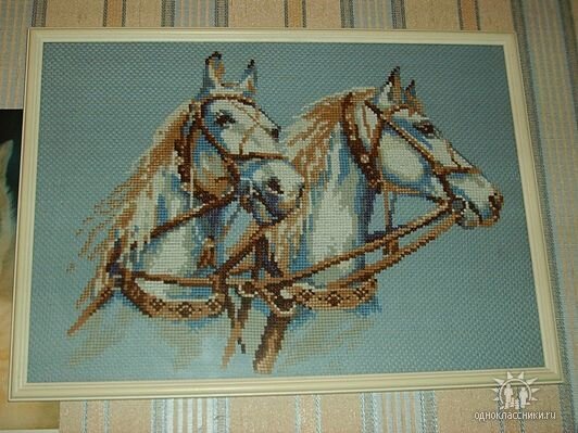 "Лошади" для Лёли