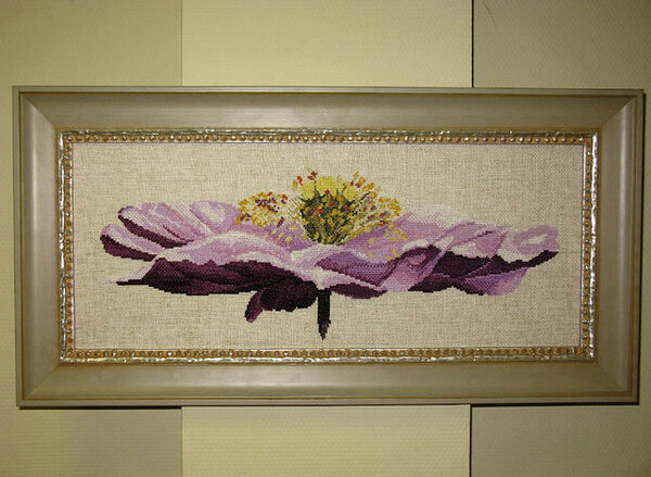 "Анемон" (ДМС) 2010 г.