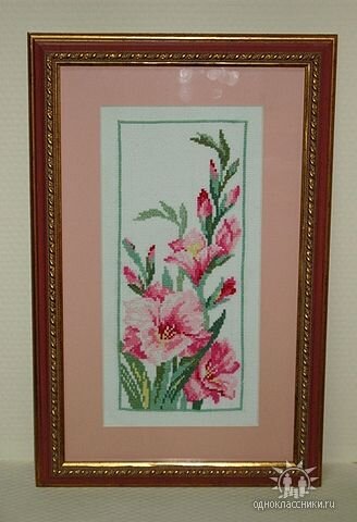 "Гладиолус"