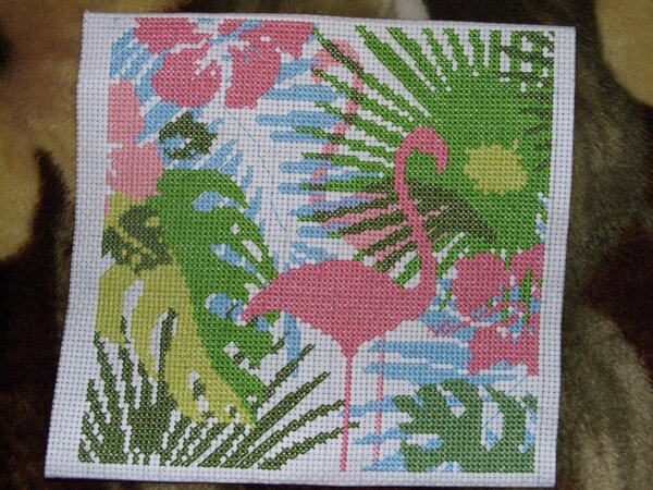 CIMG1318 Розовый фламинго!