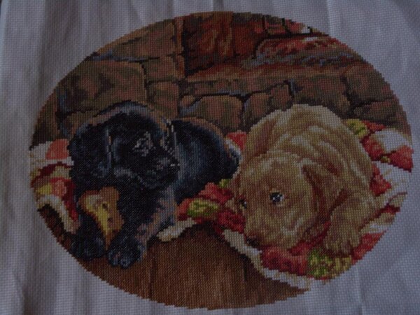 CIMG1799 Бим и бом