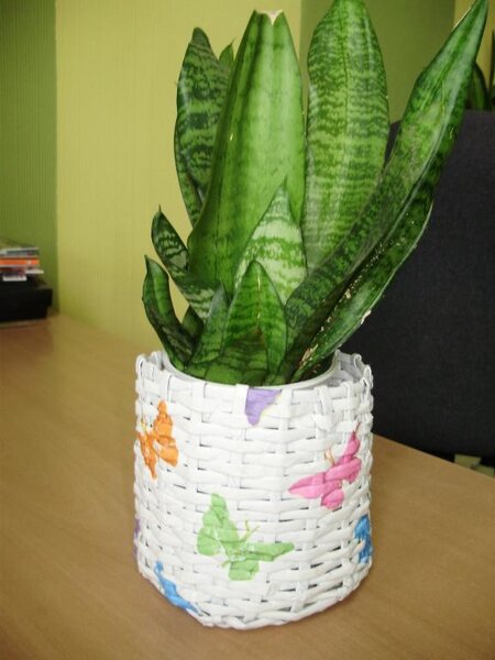 Вот такое вот кашпо)