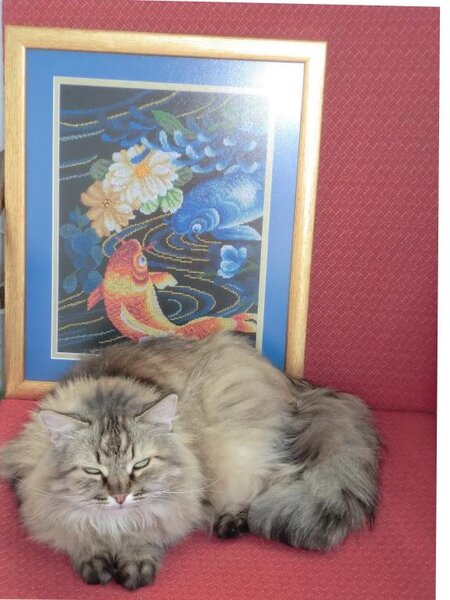 Тихая заводь