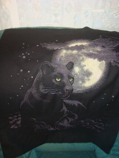 полнолуние от риолис