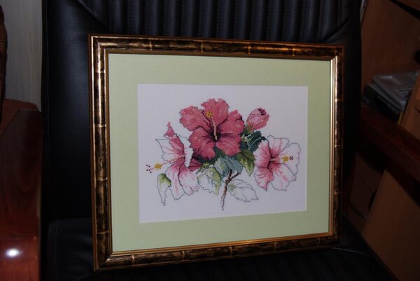 Гибриус наконец-то расцвел в  окончательном своем варианте