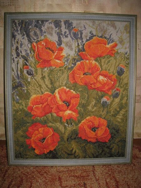 Золотое оуно Оранжевые маки