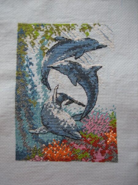 Дельфинчики Dimensions